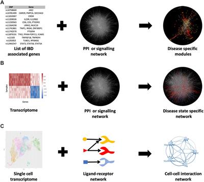 Network Biology Approaches to Achieve Precision Medicine in Inflammatory Bowel Disease